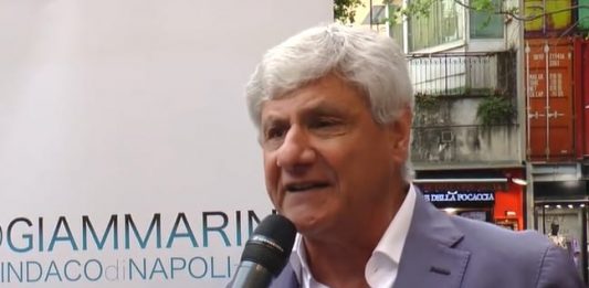 gino giammarino